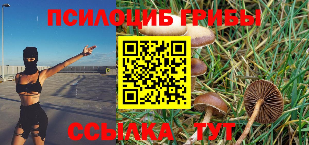 Псилоцибиновые грибы Psilocybe  что такое наркотик  Кизляр  Вход с VPN 
