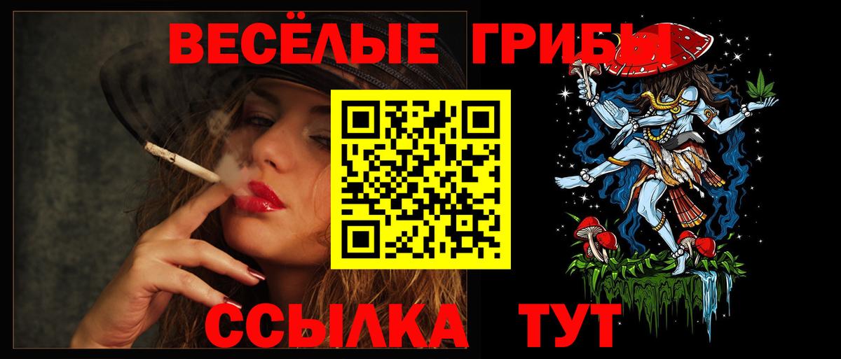 Псилоцибиновые грибы GOLDEN TEACHER Кизляр